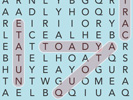 Word Search
